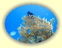 IMG_2007_05_29 14_13_02 * 3072 x 2304 * (737KB)